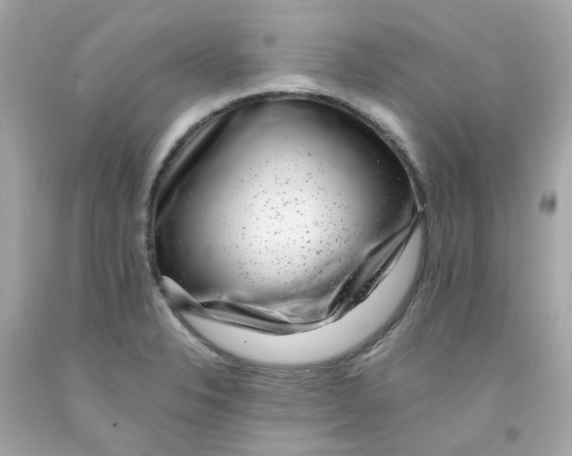 X0000093151326200710241354