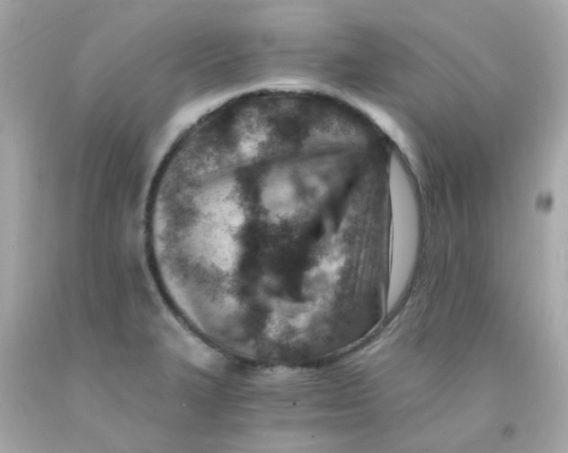 X0000093151327200710241354