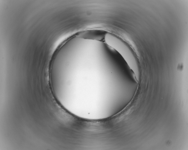 X0000093151328200710241354