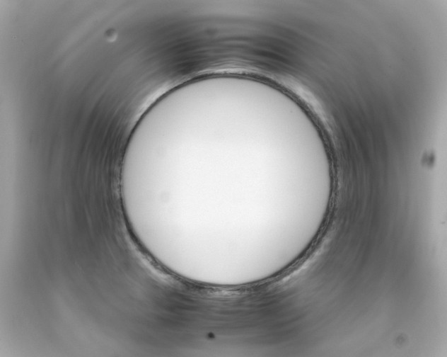 X0000093151329200710241354