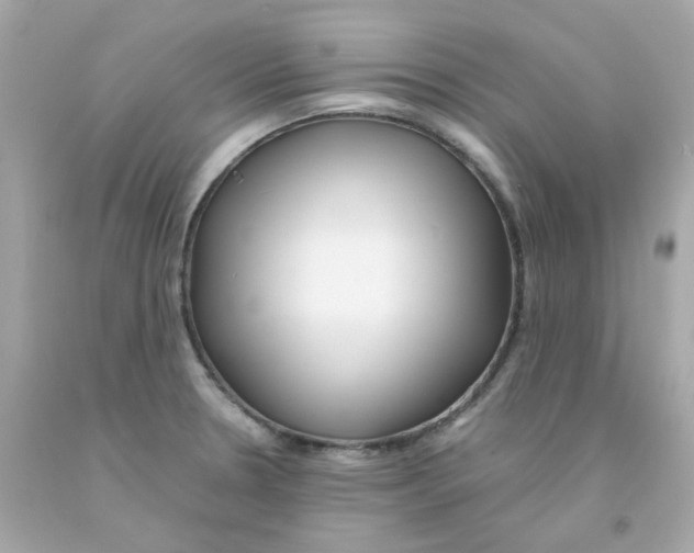 X0000093151330200710241354