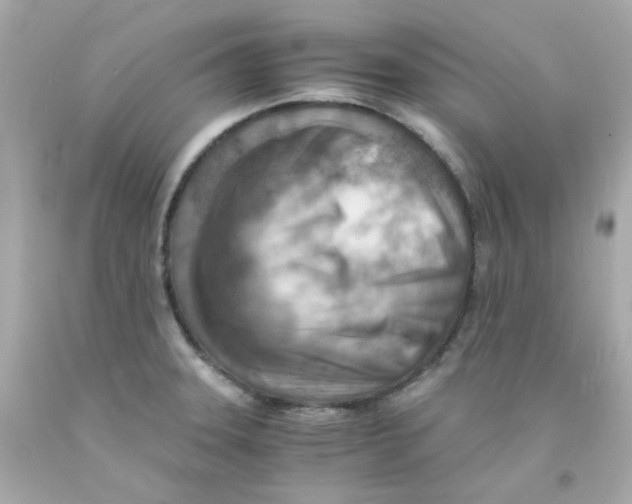 X0000093151331200710241354