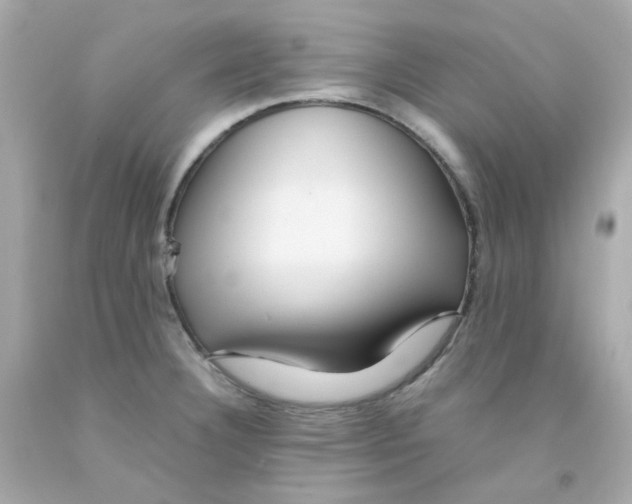 X0000093151332200710241354