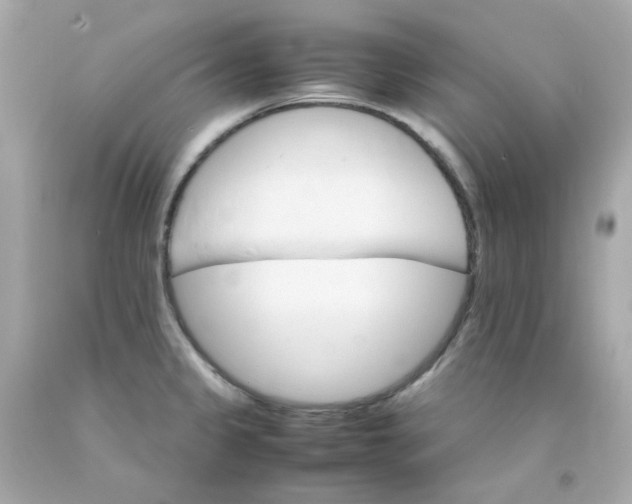 X0000093151333200710241354