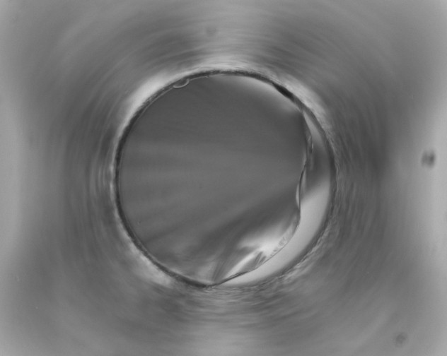 X0000093151334200710241355