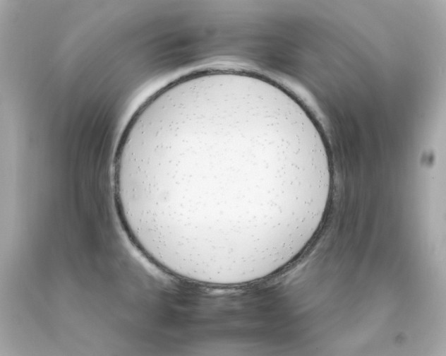 X0000093151335200710241355