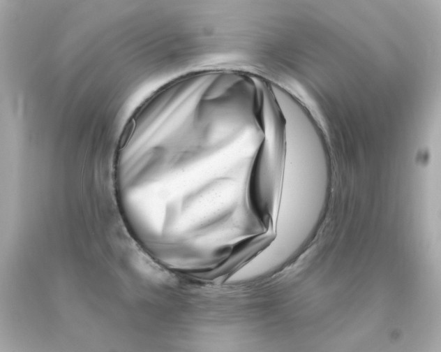 X0000093151336200710241355