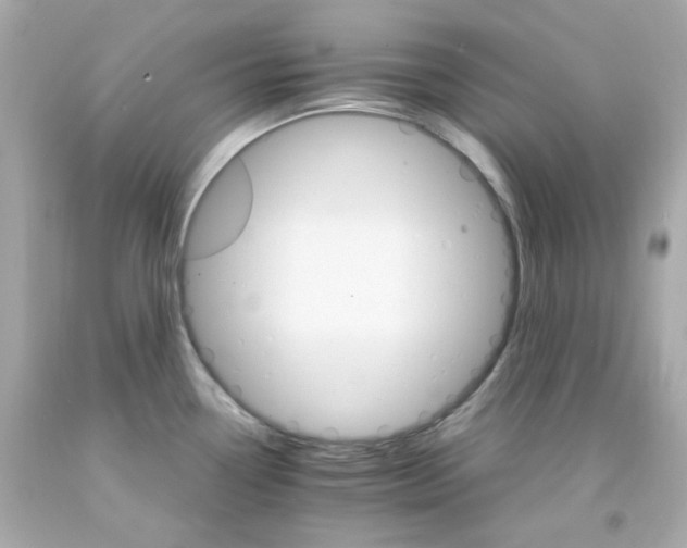 X0000093151338200710241355