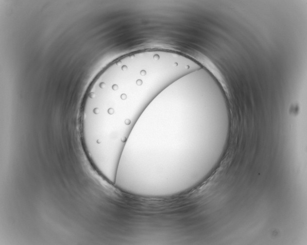 X0000093151339200710241355