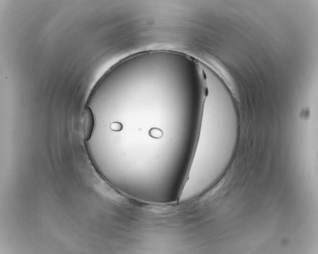 X0000093151340200710241355