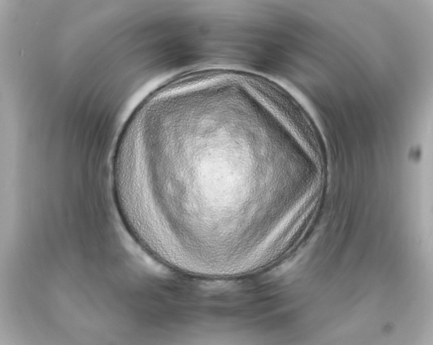 X0000093151341200710241355