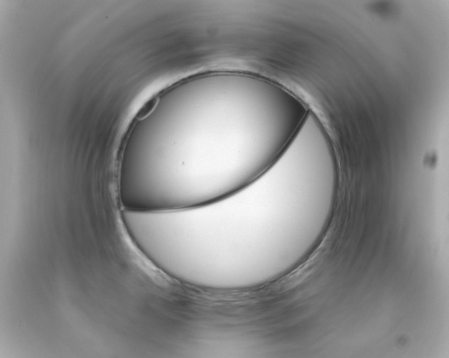 X0000093151342200710241355