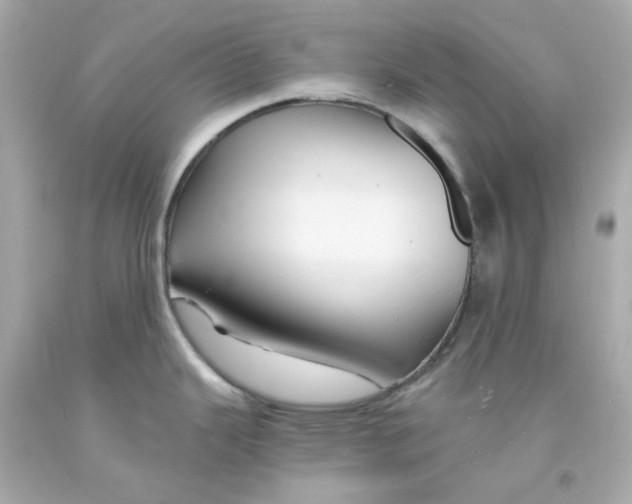 X0000093151343200710241355