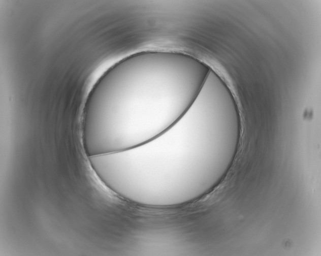 X0000093151344200710241355