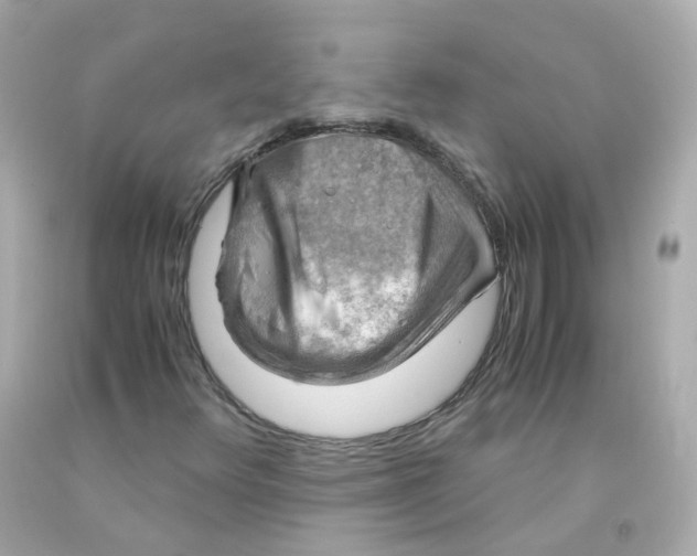 X0000093151348200710241354