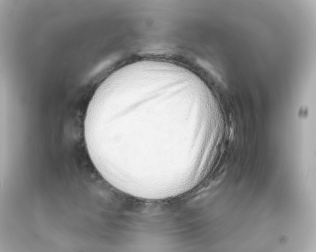 X0000093151350200710241354