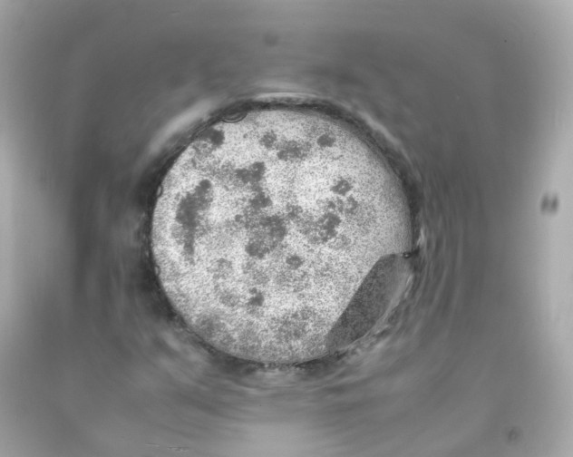 X0000093151351200710241354