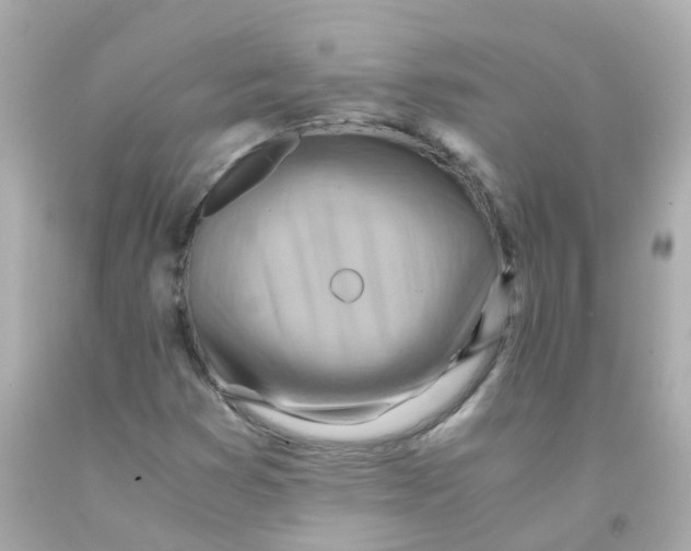 X0000093151353200710241354