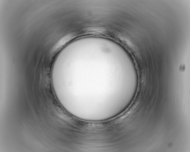 X0000093151354200710241354