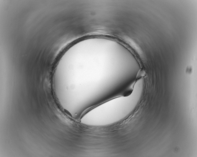 X0000093151356200710241354