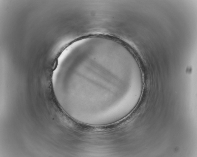 X0000093151359200710241354