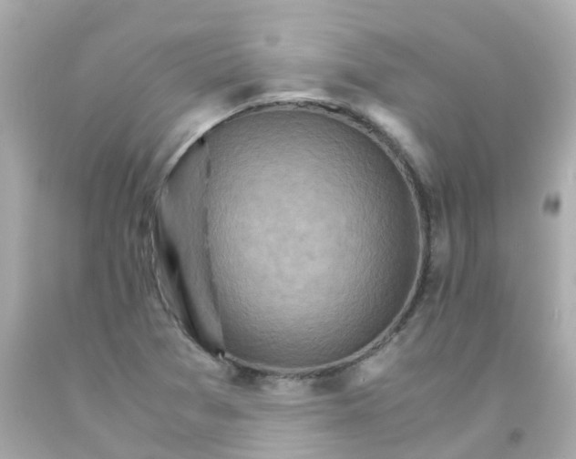 X0000093151361200710241354