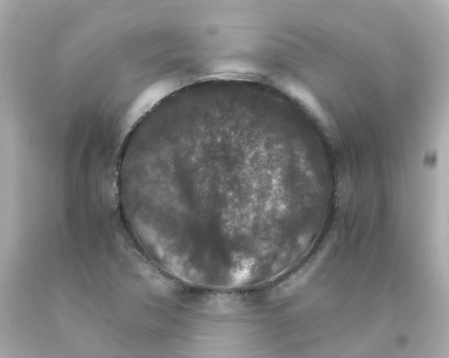 X0000093151362200710241354