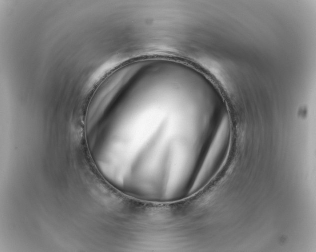 X0000093151363200710241354