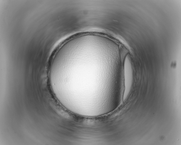 X0000093151364200710241354