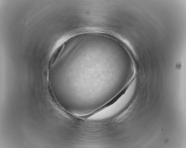 X0000093151365200710241354