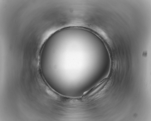 X0000093151366200710241354