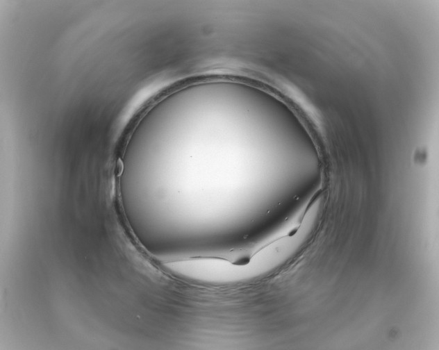 X0000093151368200710241354