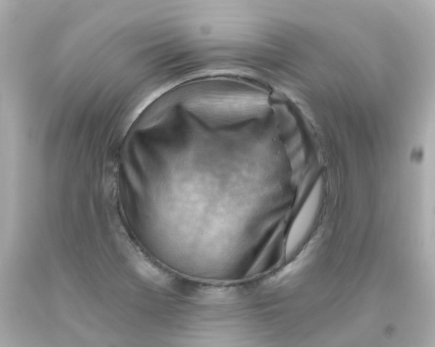 X0000093151369200710241354