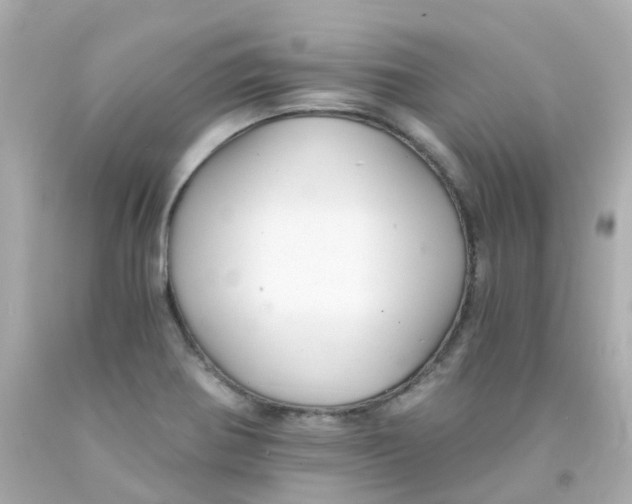 X0000093151370200710241354