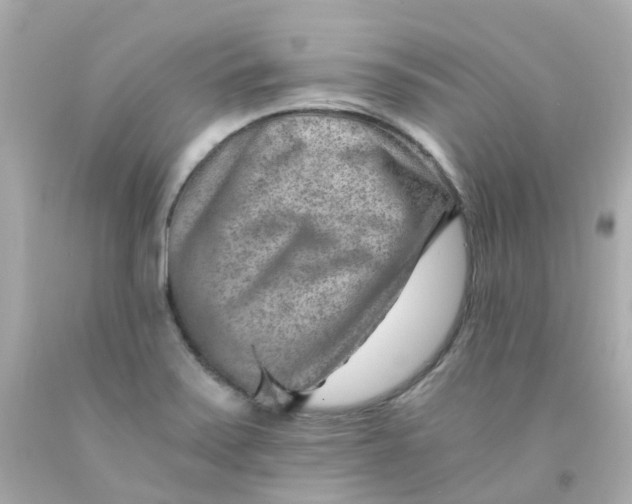 X0000093151371200710241354