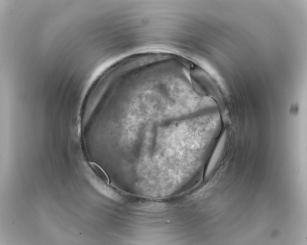 X0000093151372200710241354