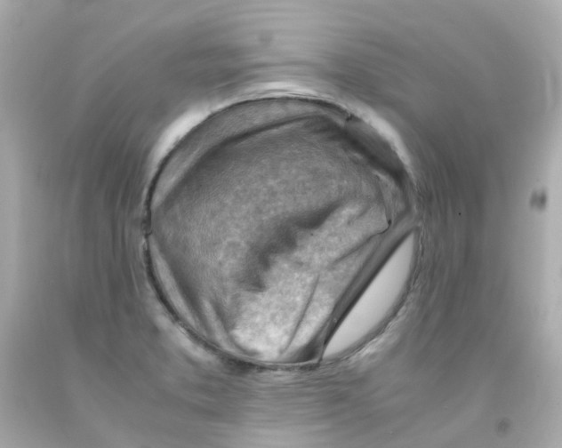 X0000093151373200710241354