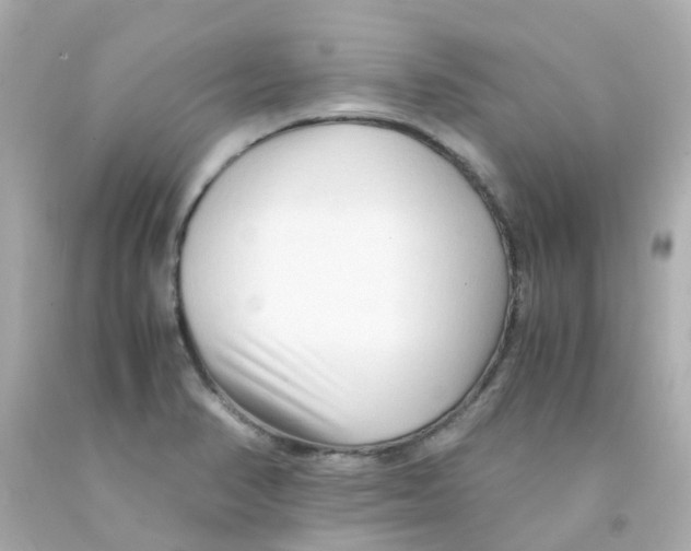 X0000093151374200710241354