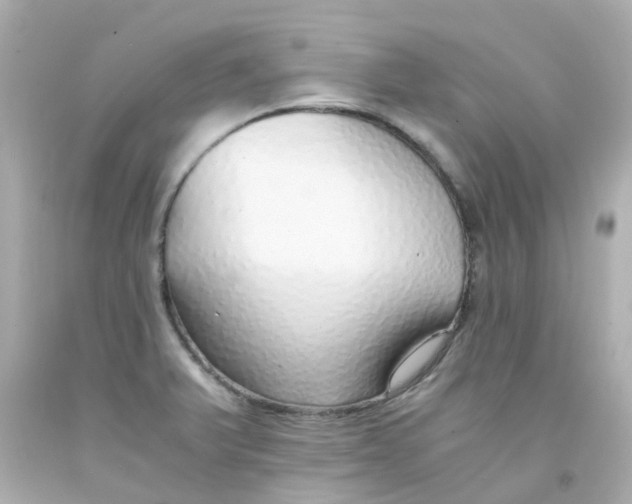 X0000093151375200710241354