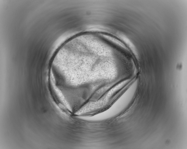 X0000093151376200710241354