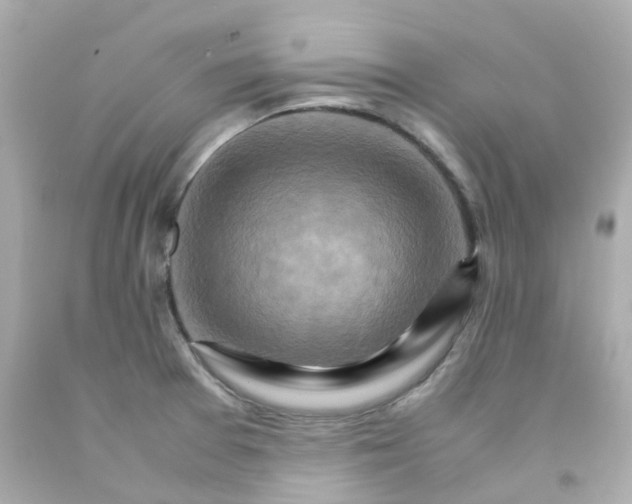 X0000093151377200710241354