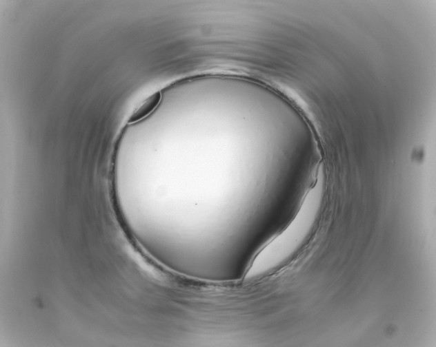 X0000093151379200710241354