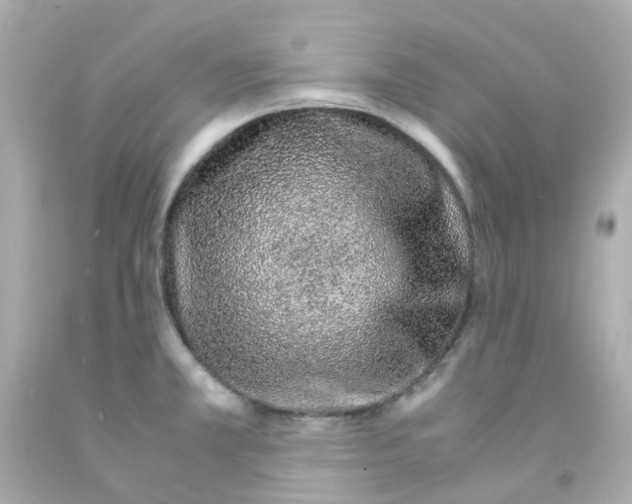 X0000093151381200710241354