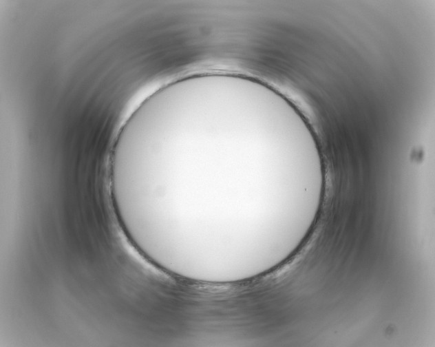 X0000093151382200710241354