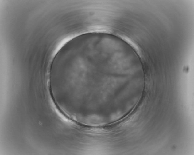 X0000093151383200710241354