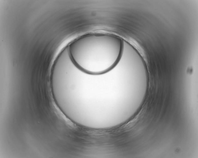 X0000093151384200710241354