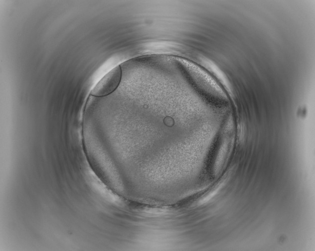 X0000093151386200710241353