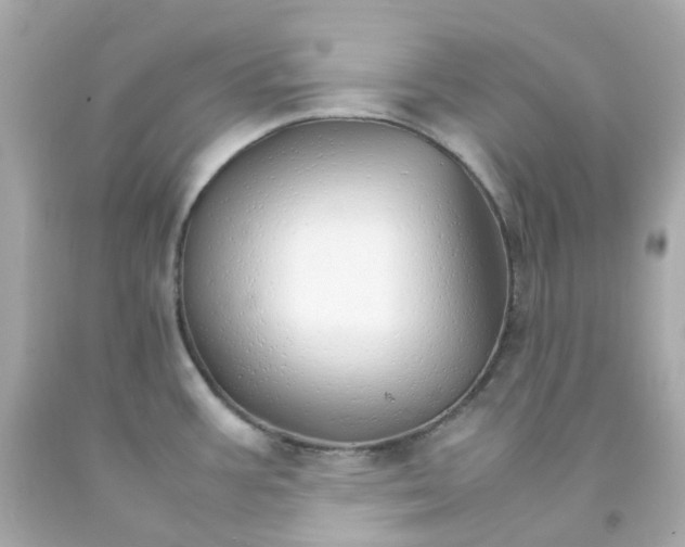 X0000093151387200710241353