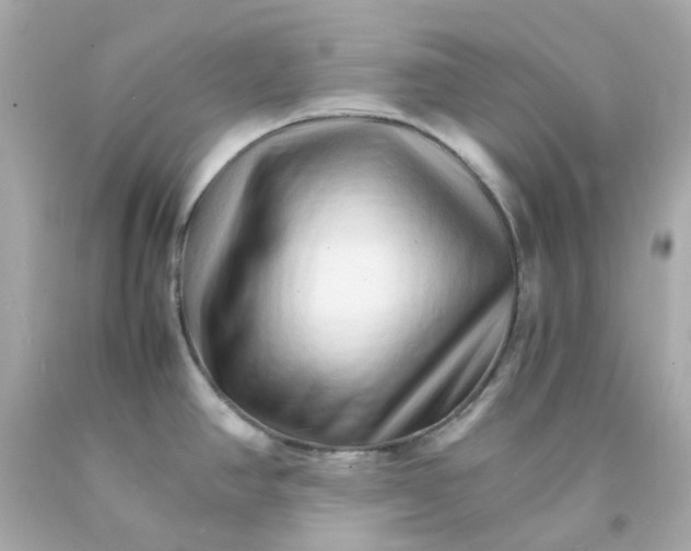 X0000093151390200710241353