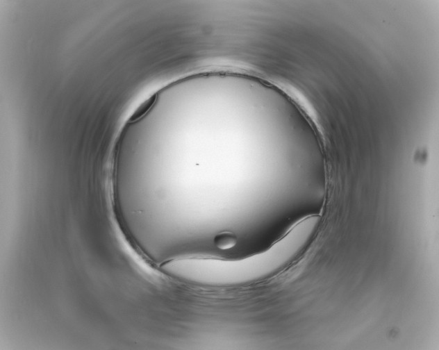 X0000093151391200710241353